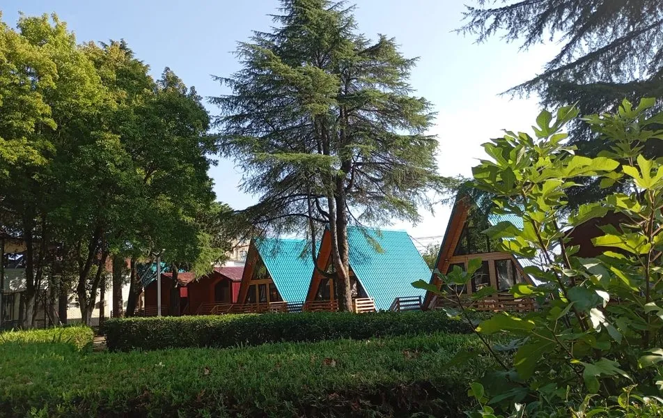 Что предлагают на утреннем приёме пищи: шведский стол или континентальный завтрак